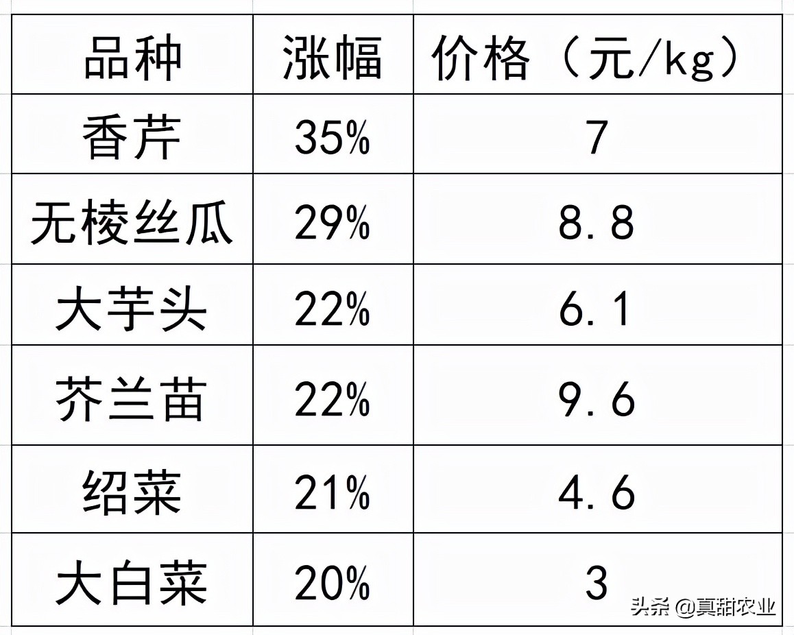 广州江南市场今日香芋价（广州江南市场今日菜价查询）