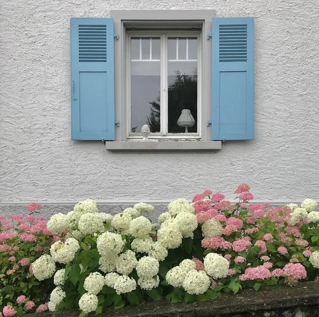 快手背景图片(背景图和文案) - 赤虎壹号