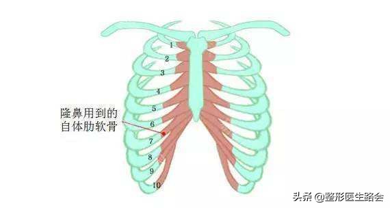 鞍鼻原来就是塌鼻梁？之前了解太少了