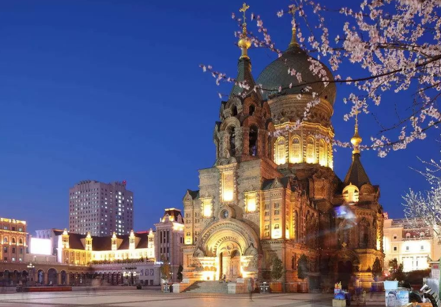 哈尔滨两所“易弄混”高校，一个985一个211，实力都不容小觑