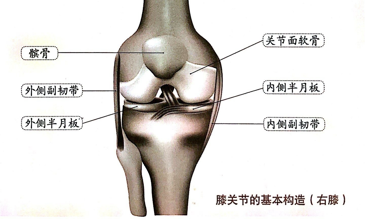 得了网球肘应该看什么科(网球肘是什么？应该如何治疗？粉丝答疑，你想知道的都在这)