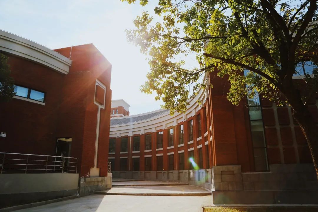 华政新增5个国家级和省级一流本科专业建设点！