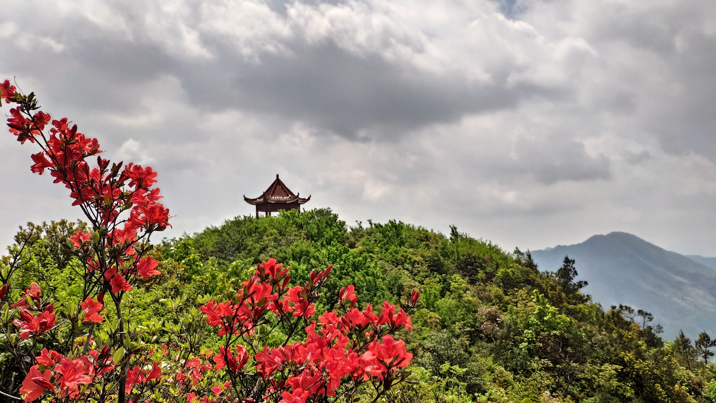 兰溪自驾游哪里好(离城市最近的国家森林公园！崇义阳明山是一个自驾游的好地方)