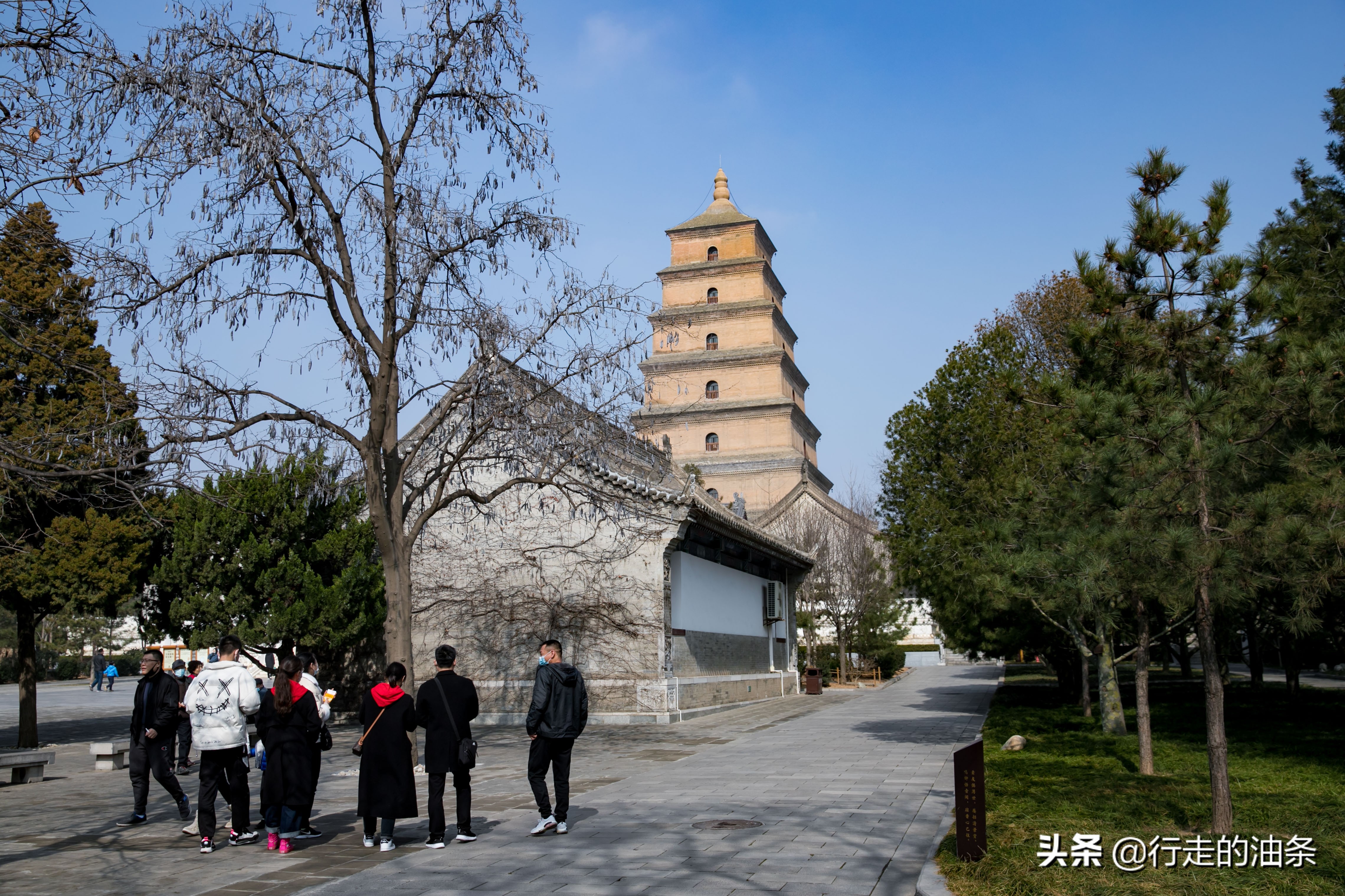 去7次西安,看7次大雁塔,只为玄奘的坚毅和白居易的雁塔题名