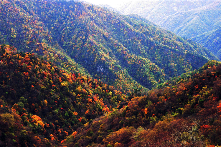 秦岭腹地精华自驾路线，私藏中国绝美秋景！陕西必驾，你去过吗？