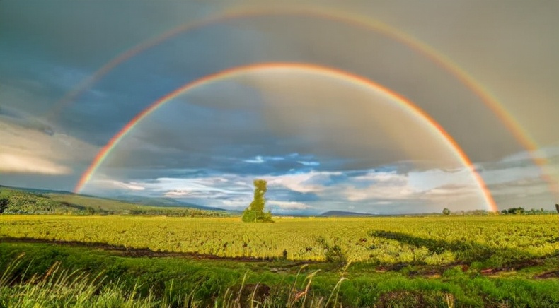 彩虹的七种颜色分别是什么 彩虹的七种颜色代表寓意 - 风集网