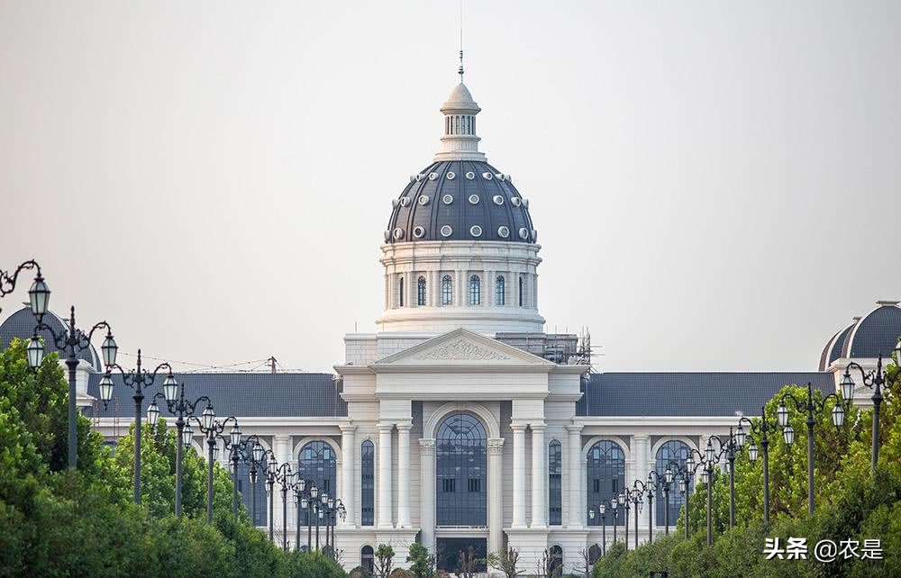 朱晓艳（女），河南农业大学副教授、硕导，牧草栽培专家