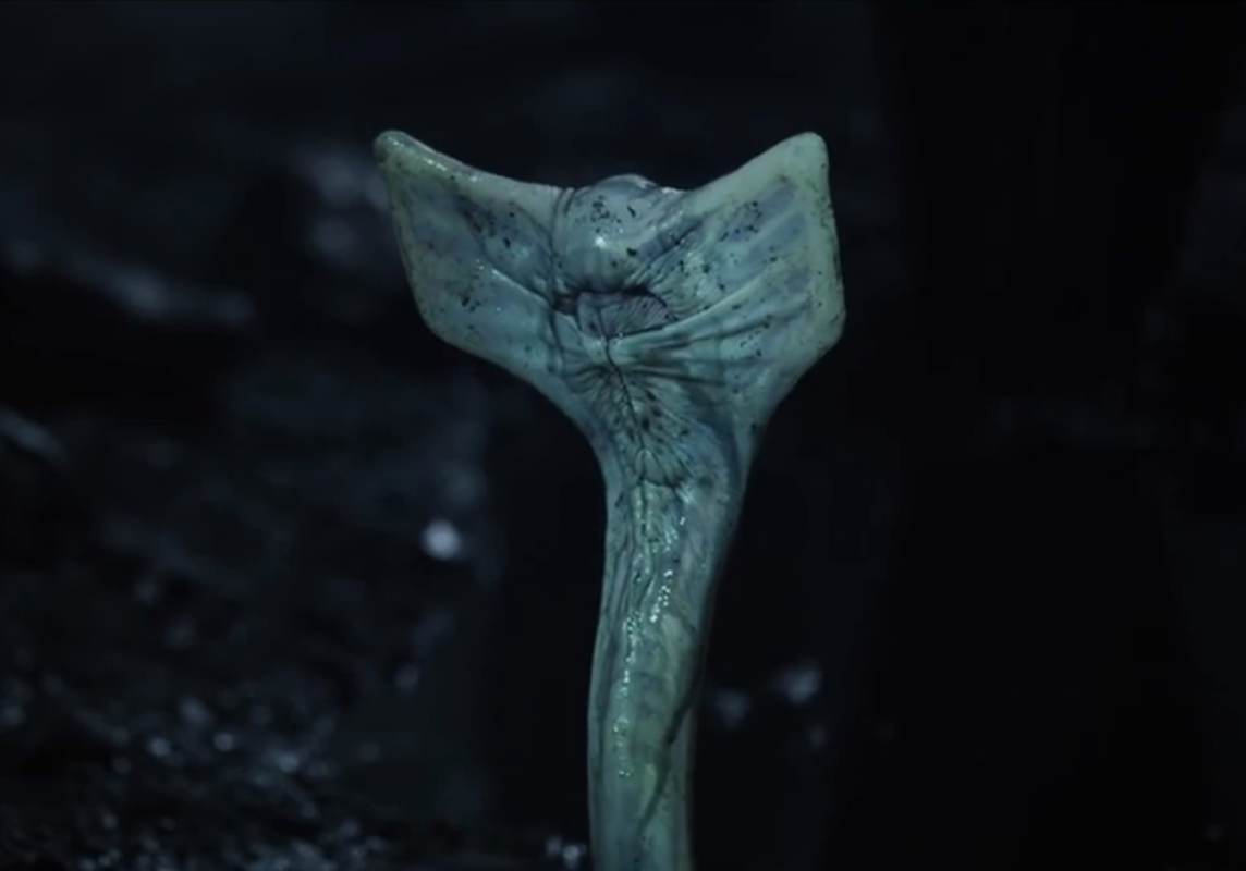 揭秘《普罗米修斯》里的黑水到底是什么?异形究竟从何而来?