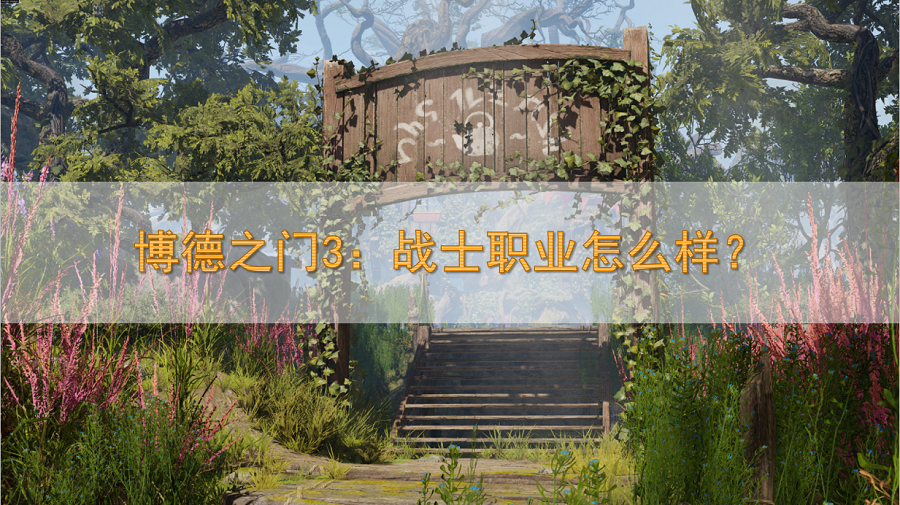 博德之门3：战士职业介绍，战士职业怎么样？