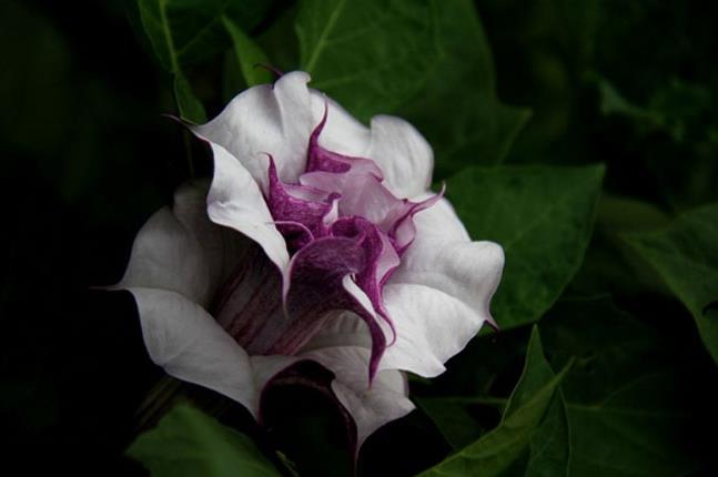 掌管,然后水神爱上了一个人类的女子,上帝一怒之下解除了水神的权利