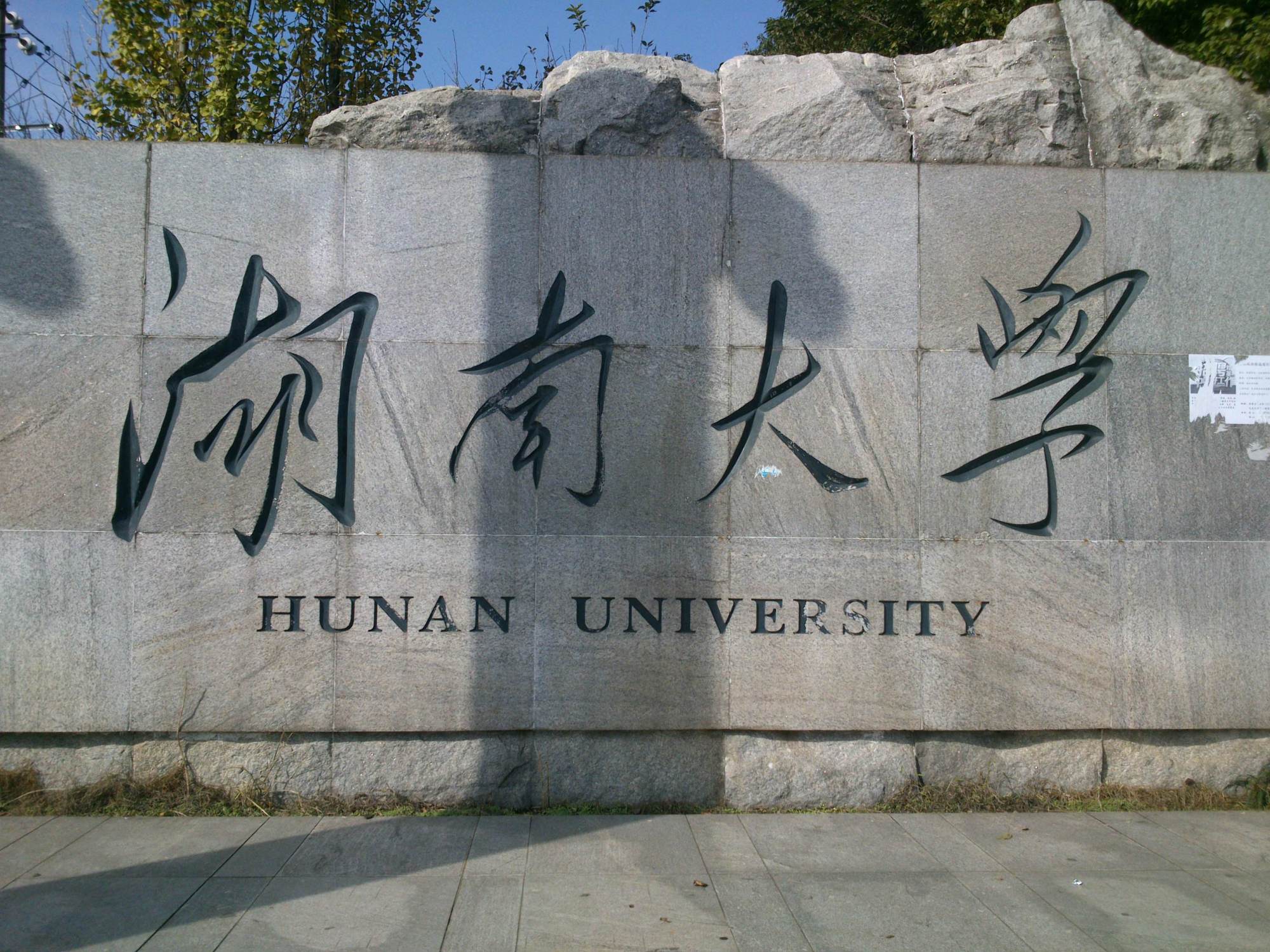 高考620分考上同济大学，28岁成985大学教授，李东却否认是学霸