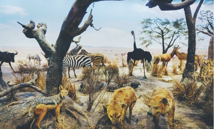 国内这4个地方最适合大学生穷游，好玩还不贵