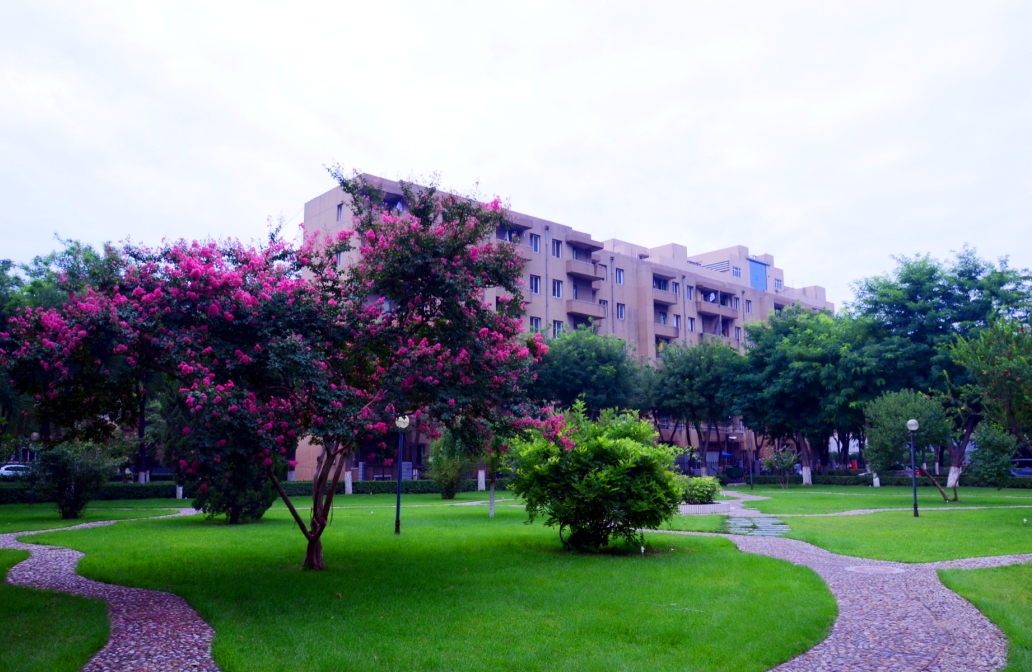 河北地质大学2020招生计划与录取动态