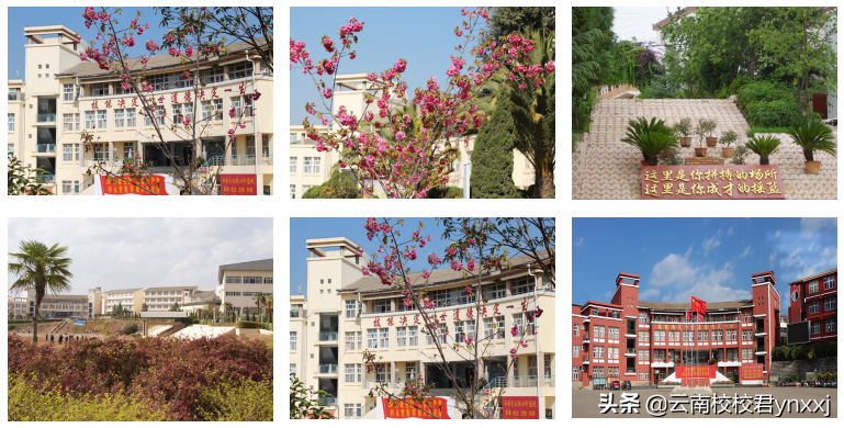 纯医学院校——昆明卫生职业学院（原云南省骨伤科中等专业学校）