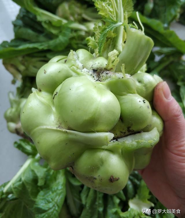人间至味是清欢，又闻家乡榨菜香