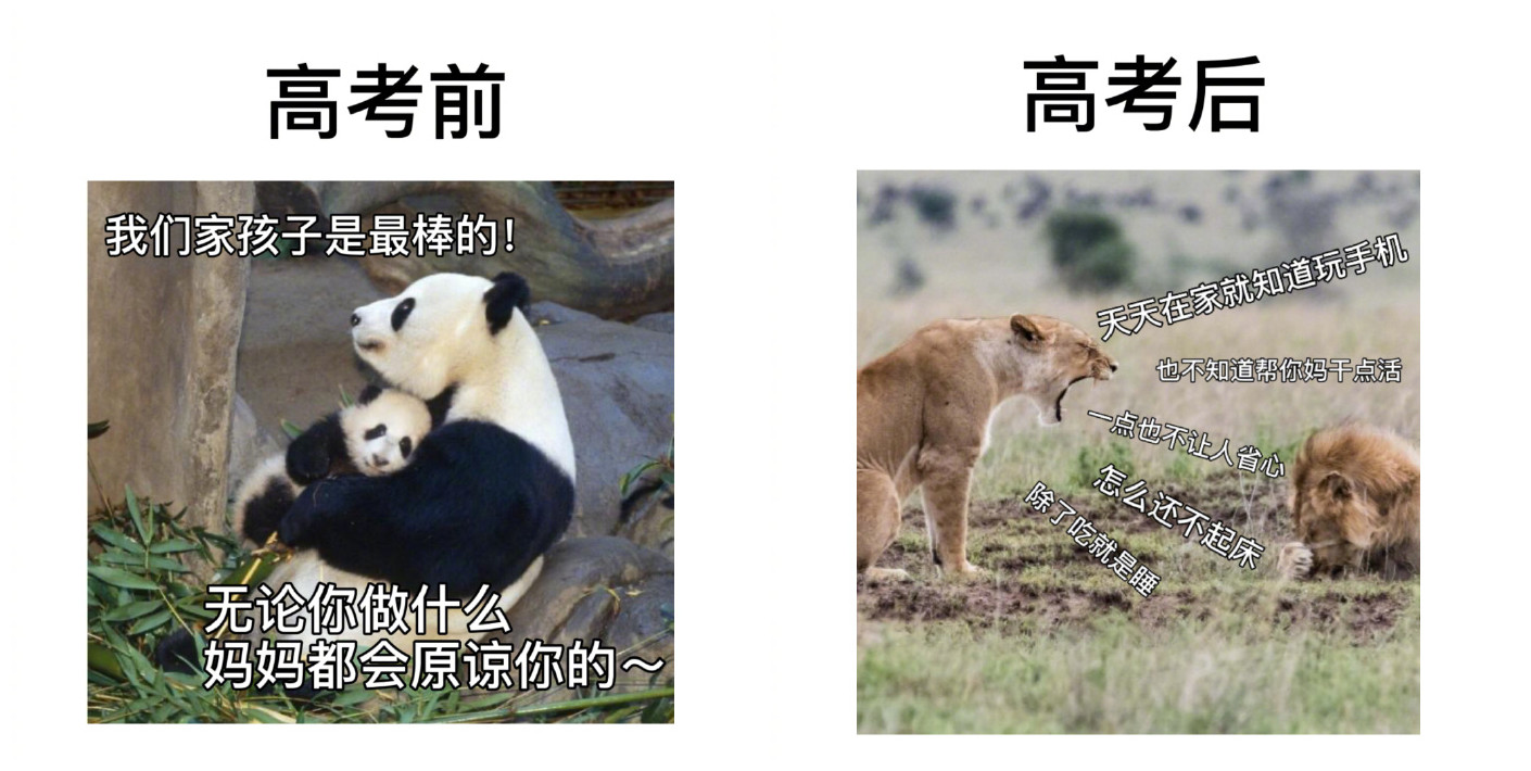 高考前后“地位变化”有多大？考生无力吐槽：看饭菜就知道了