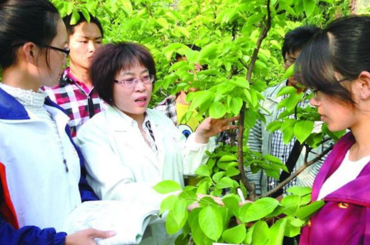2022中国烟草发布招录公告，平均年薪可达18万，涉及多个大学专业