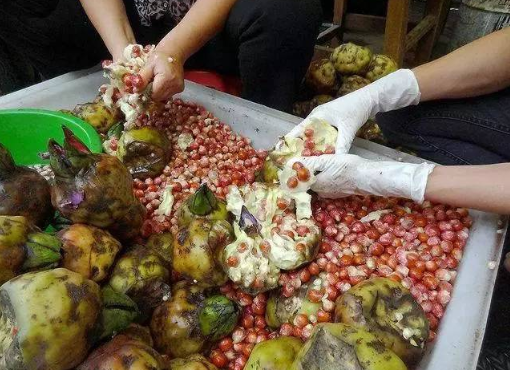 刺茨菇的功效与作用-我的快乐小窝