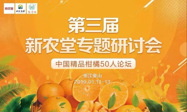 扩种、价跌、市场竞争……百万亩沃柑即将爆发上市,价格走向如何?