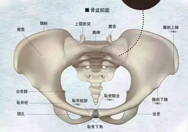 颧骨外凸、面部线条看着很突兀！80%的人是因为这2个因素