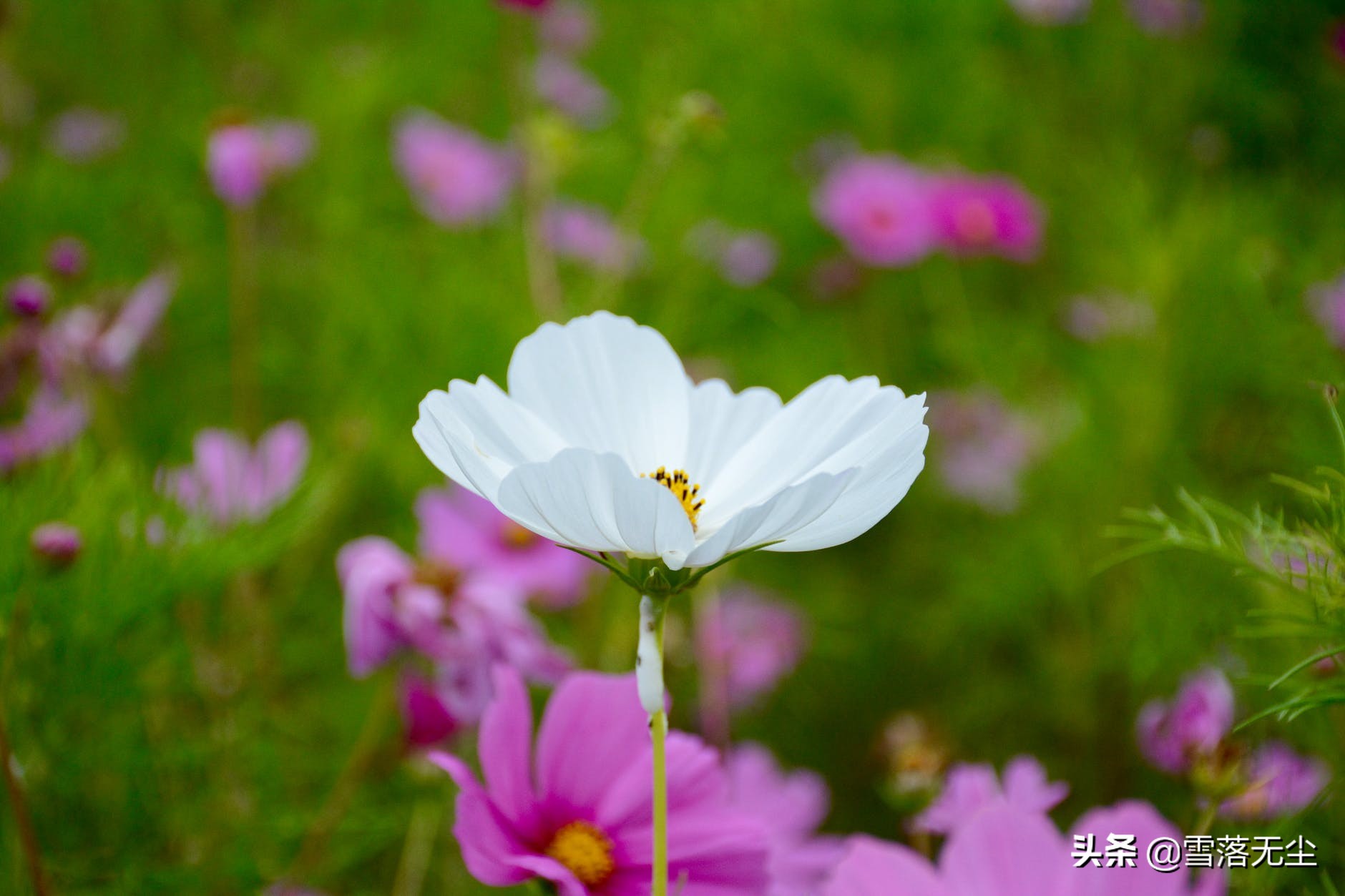 女人，试着“狠一点”，你会活得更漂亮