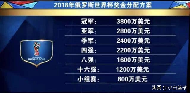 篮球世界杯举办费用(男子排球、足球、篮球世界杯奖金差距有多大？男足为男排753倍)