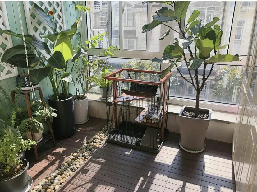 小户型装修最容易犯的错，这7条最为致命