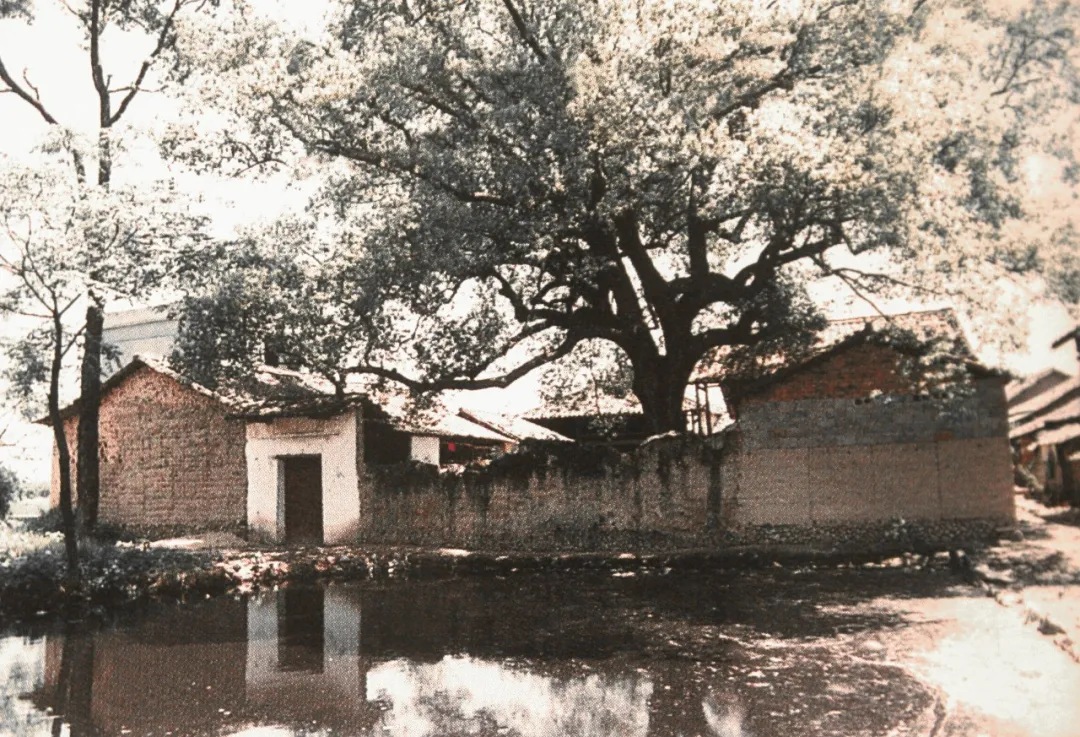 杭师大，112岁生日快乐！