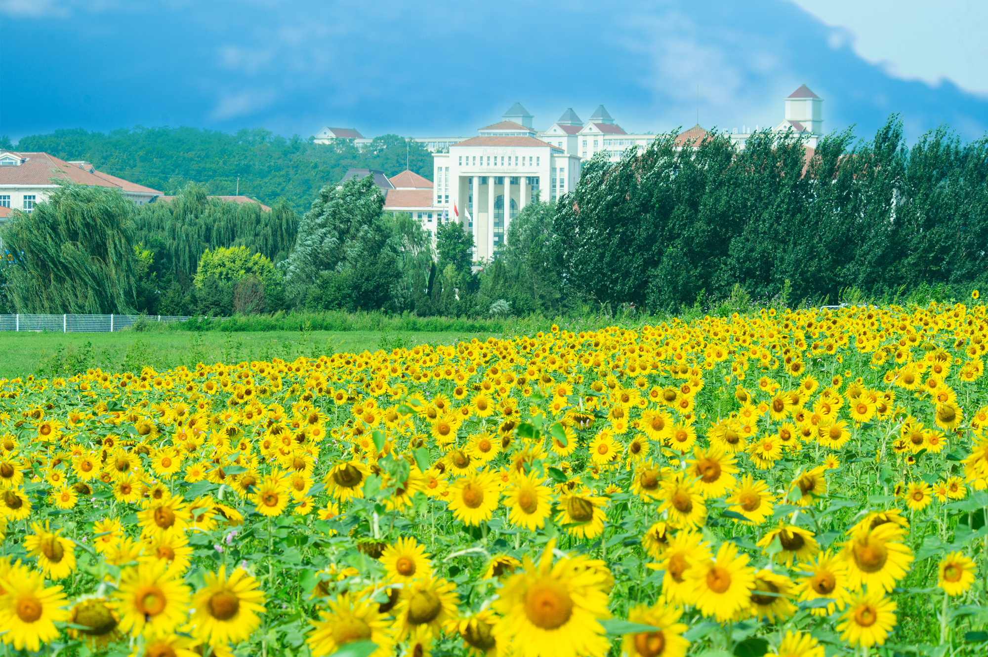 辽宁何氏医学院：国家级风景区里的大学