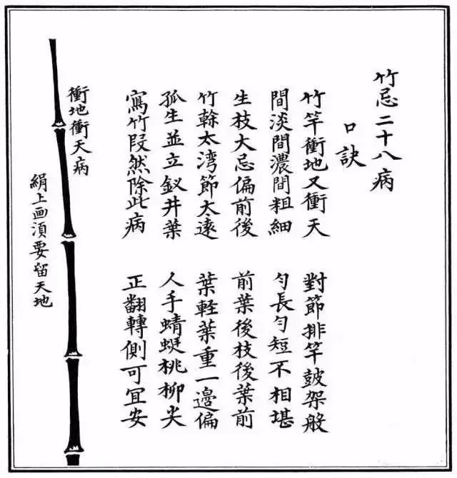 不会画竹子?教你最常见竹子画法,简单易学,快收藏起来临摹学习