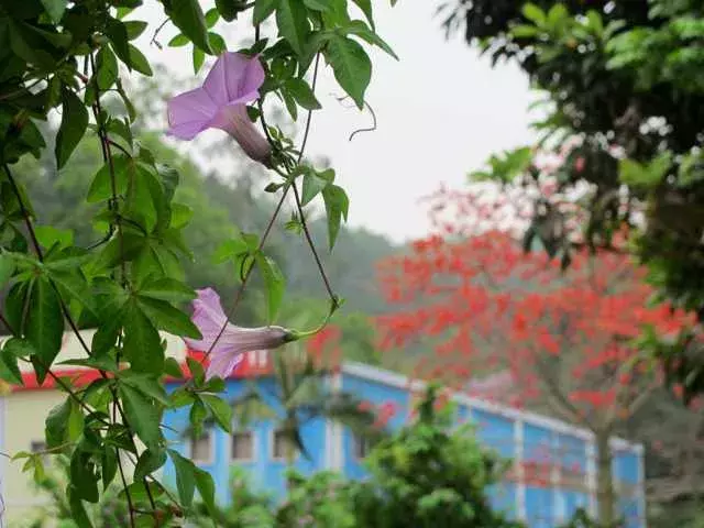 广东省理工职业技术学校，今年招生简章够劲爆！