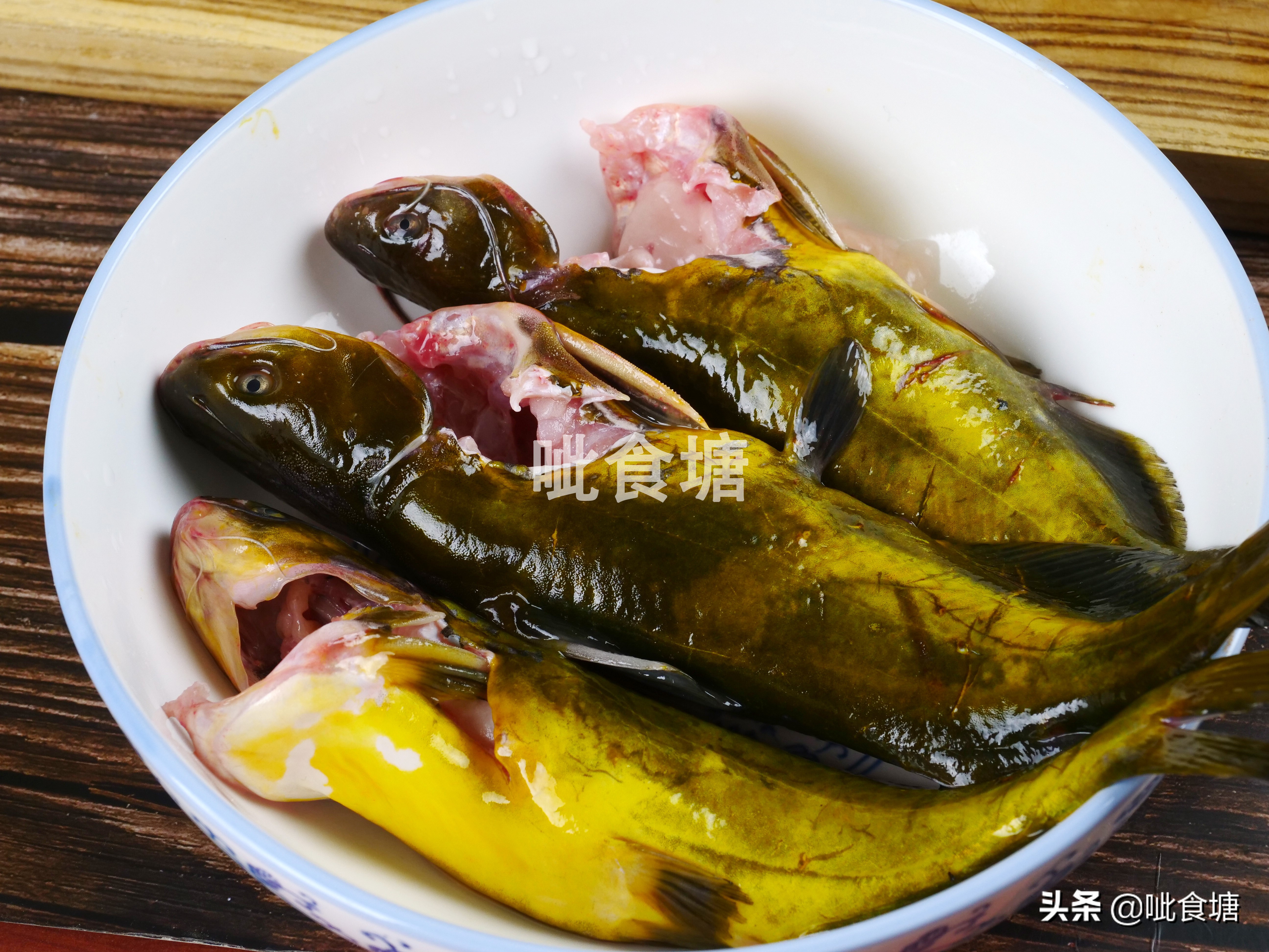 嘎鱼的营养价值(嘎鱼的营养价值及功效做法)