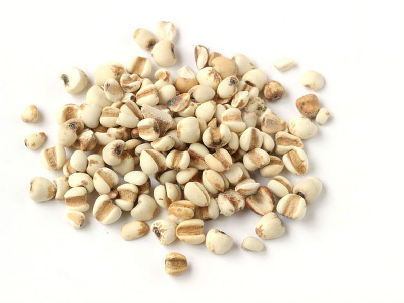 麸炒薏苡仁(麸炒薏苡仁功效作用与主治)