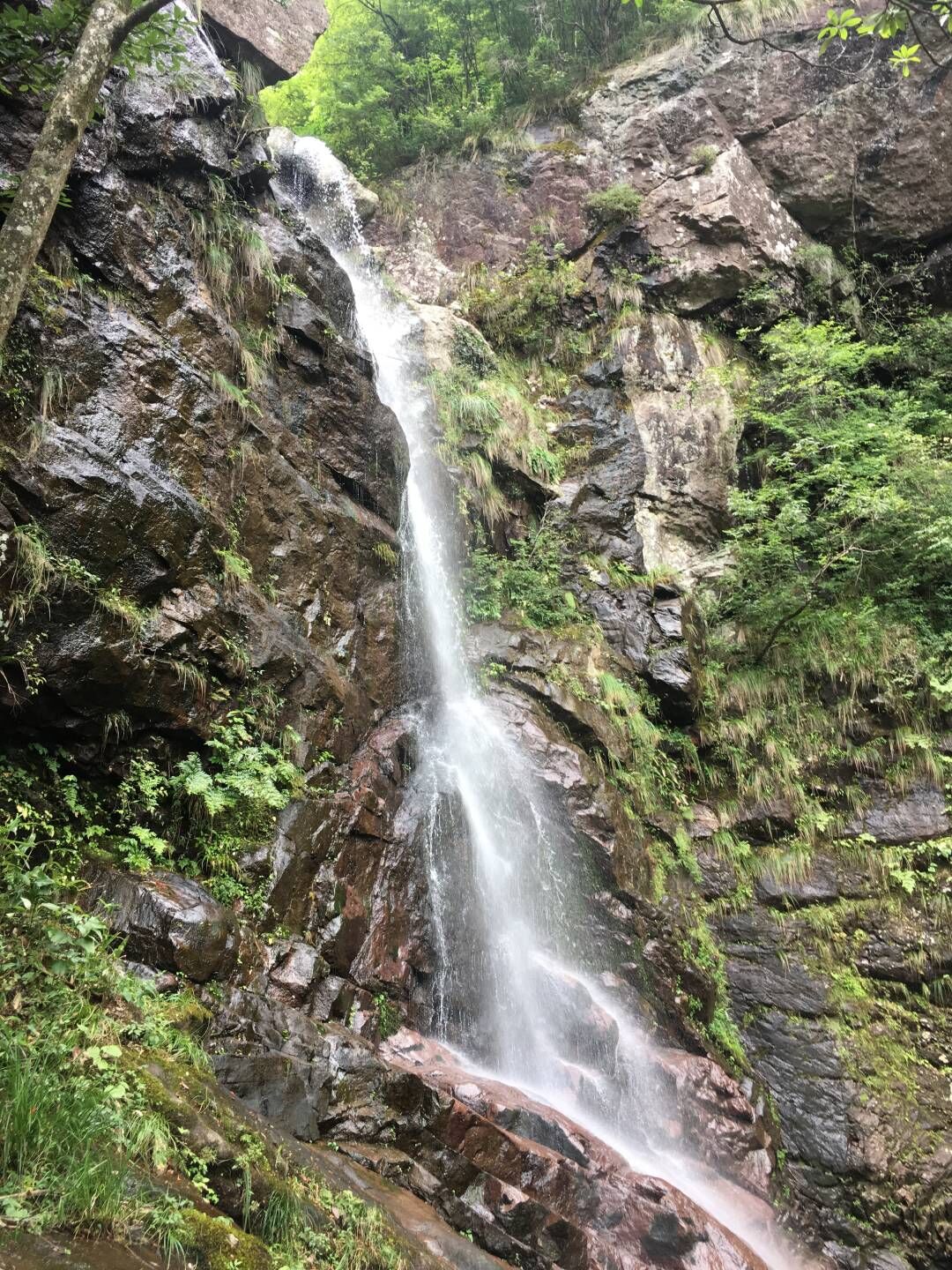 杭州龙王山风景区图片