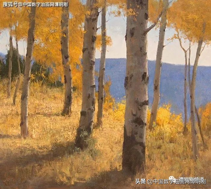 喬希·克萊爾專訪數字油畫有哪些品牌 中國數字油畫網告訴你