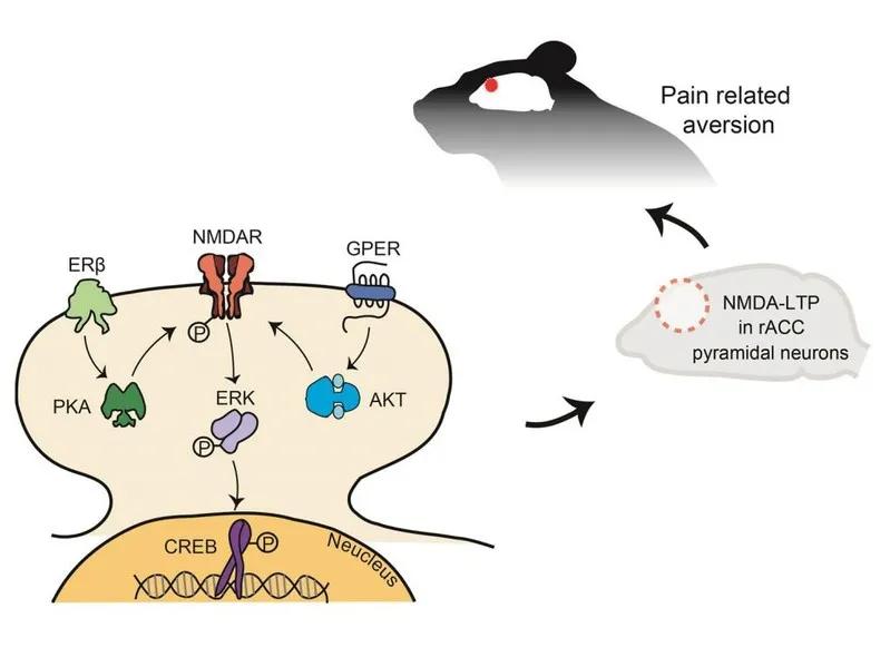复旦大学医学神经生物学国家重点实验室2020年科研成果汇编