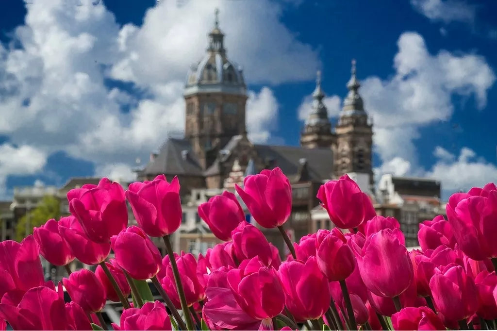 荷兰签证在手，赏花季说走就走！