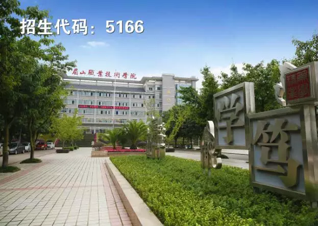 四川2020年高职单招“教育与体育”大类院校