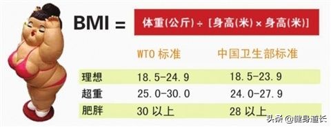 6种不同的体脂测量方法，把你的身体状况牢牢抓在自己的手中