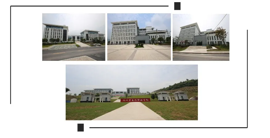 四川第二个中医学类高职院校,2020年进行单招首秀