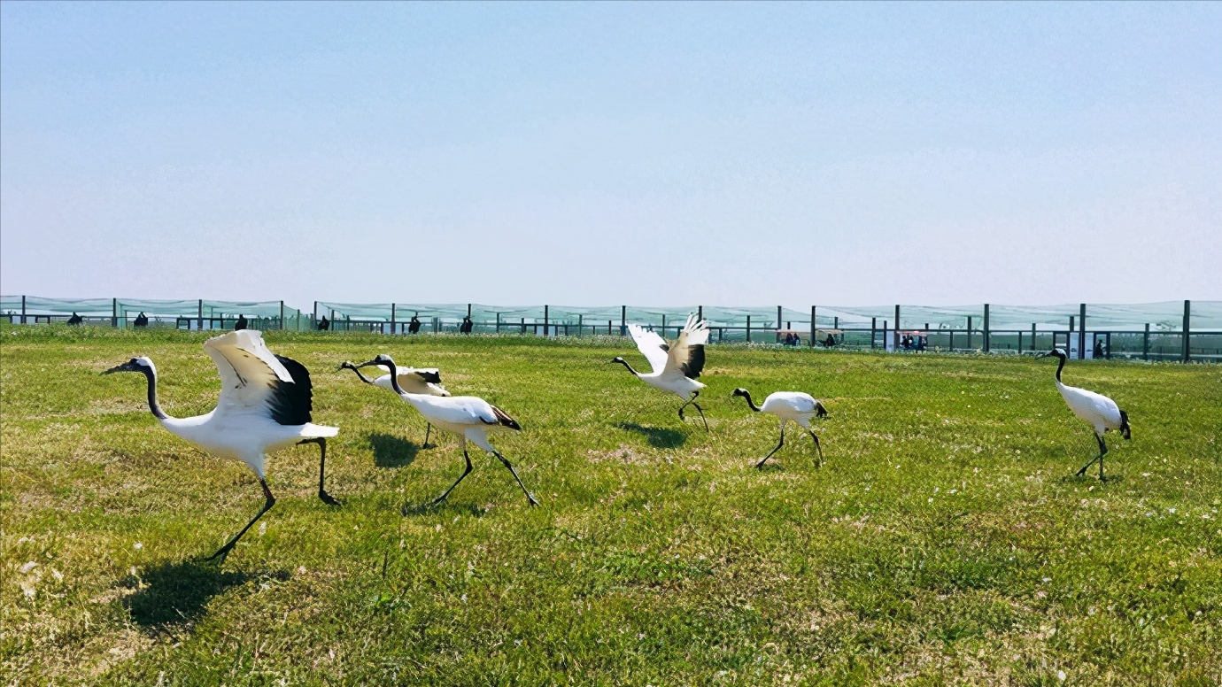 水世界杯建湖(浅谈全国34个省级区域之华东篇：江苏省—盐城市)