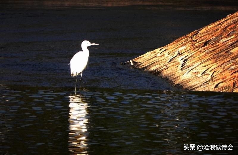 春日读禅诗，悟人生大境界，北宋五绝句让人猛醒，第五首有大智慧