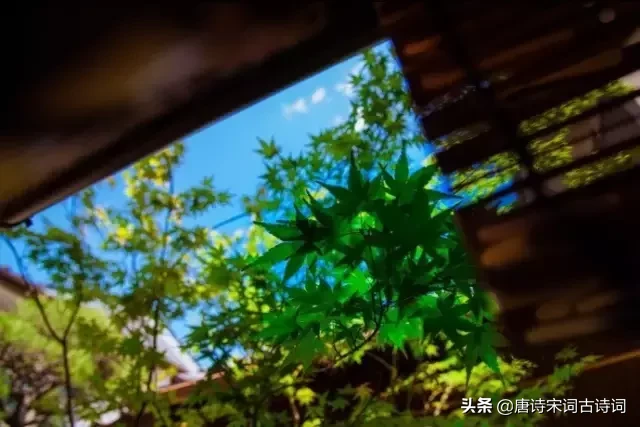 清凉一夏，给你最美八首小暑古诗词