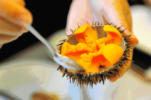 来荣成读大学：在蓝天碧海间绽放最美青春