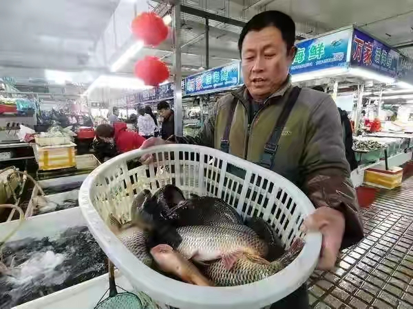 欣桥猪肉今日价格，哈尔滨猪肉价格今日价格