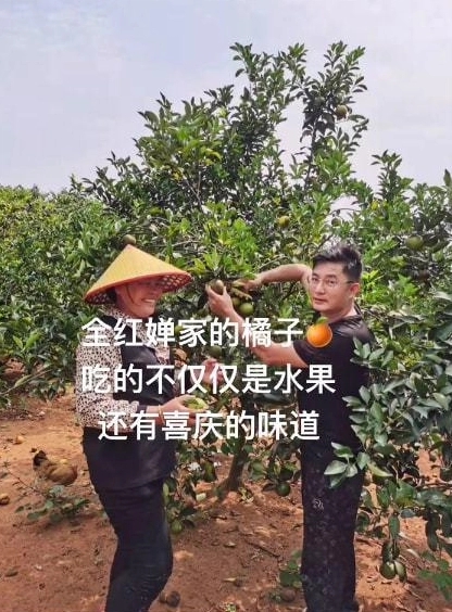 全红婵太有面！回广州市长亲自接见，两大因素或许会毁掉她的事业