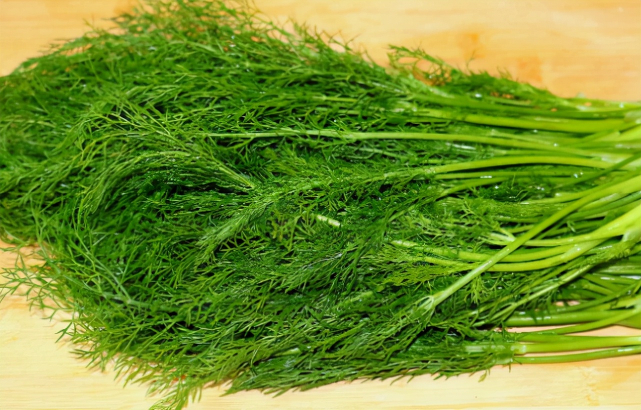 茴香菜的功效与作用 茴香饺子馅时三不放-徐拾记官网