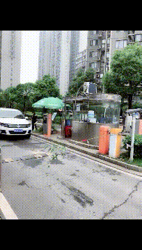 “假如你被关进精神病院，请用一句话证明自己不是”！神评太逗了