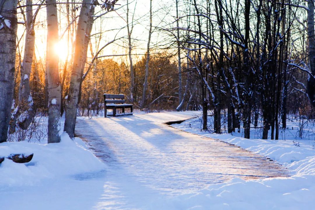 12句冬雪诗词，浪漫有情调，治愈了整个冬天