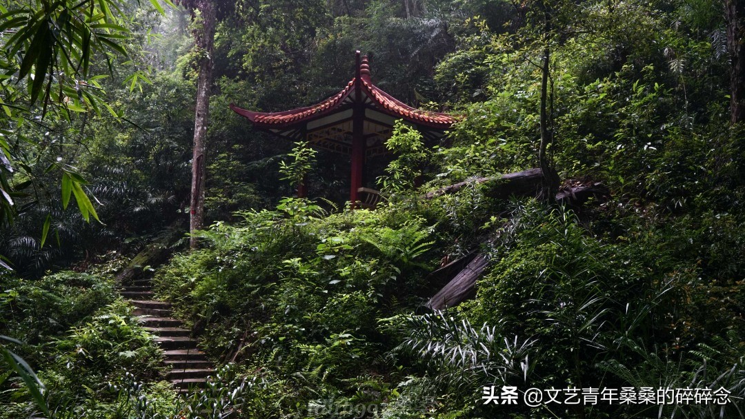 古村落、原始森林、火山岩，宝藏旅行地福建三明两日一夜打卡记